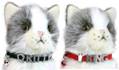 Namenshalsbänder für Katzen